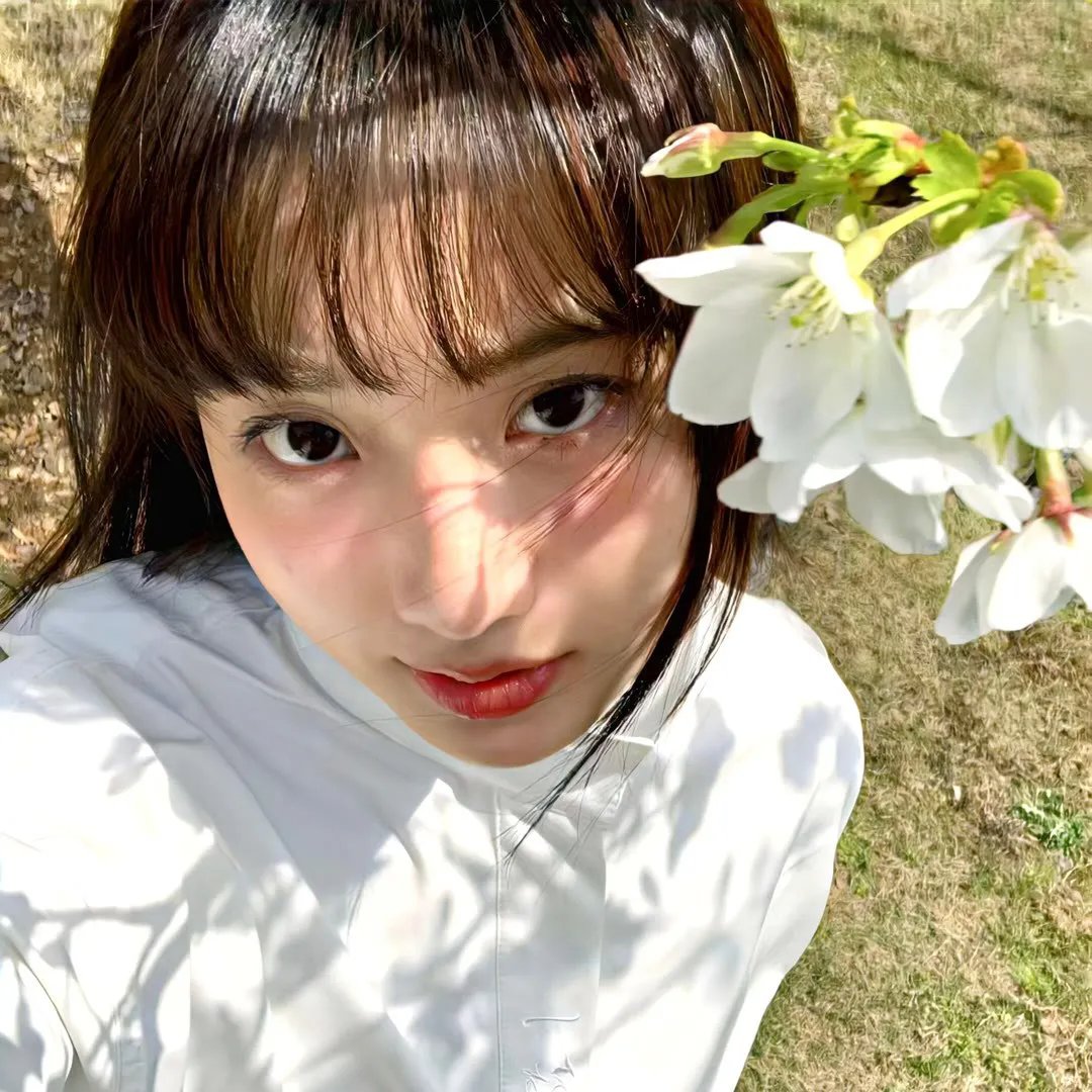 与狼共谋